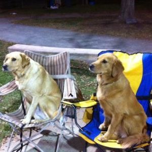 Meet your Posher, Beth